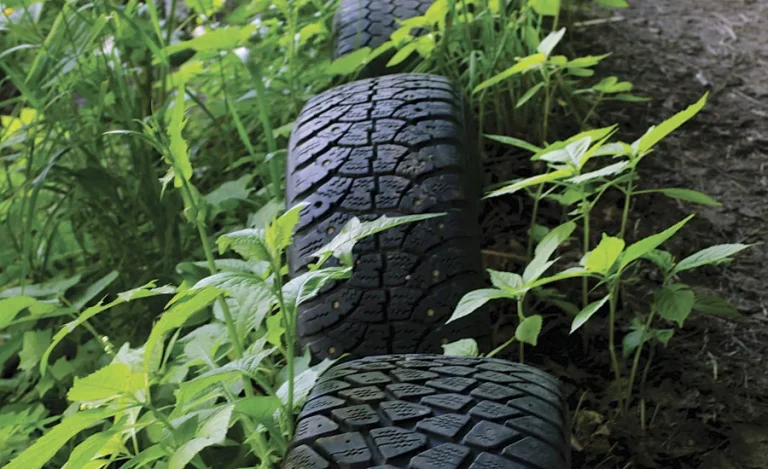 Eco-Friendly Rubber Pigments