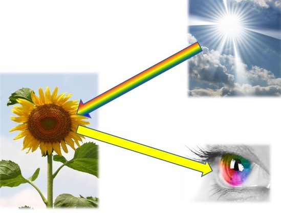 Diagram showing the three elements of color light, object, and observer