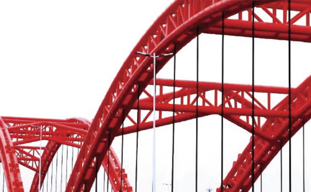 Pigment Red 254 for Coating