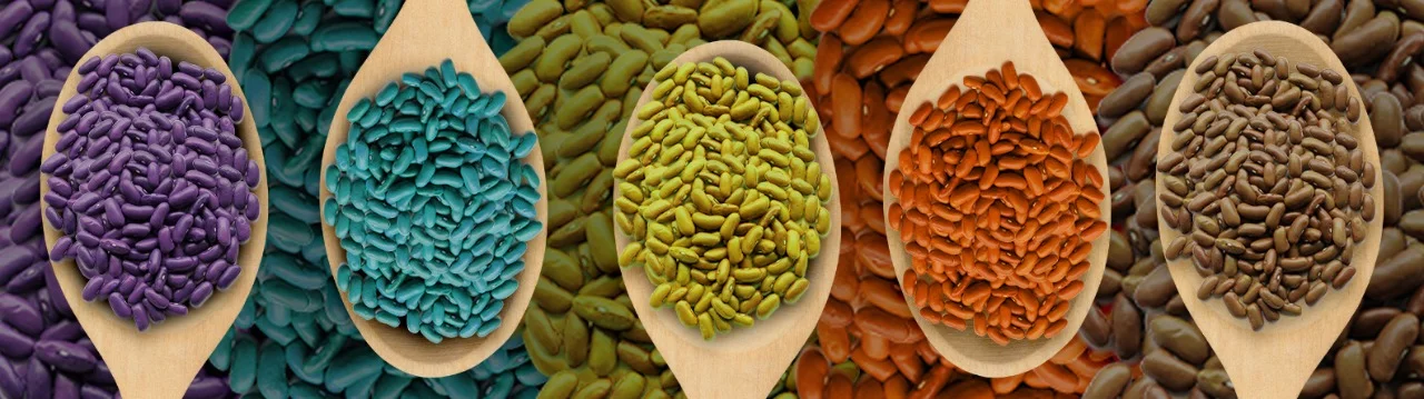 Pigment Dispersions for Seed Colouring